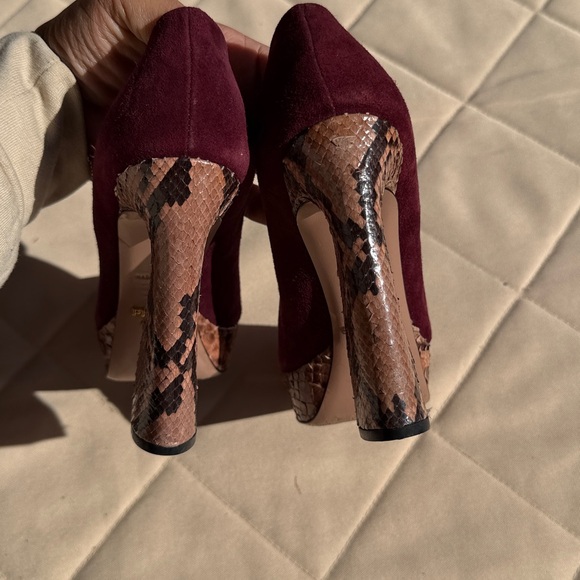 Prada Python Pumps - Picture 4 of 7